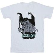 T-shirt Scooby Doo Scared Jump