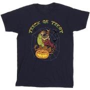 T-shirt Scooby Doo BI45076