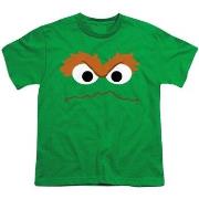 T-shirt enfant Sesame Street TV2863