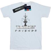 T-shirt Friends Fountain Sketch