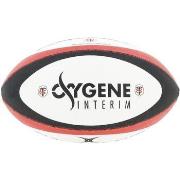 Ballons de sport Gilbert Replica s/toulouse