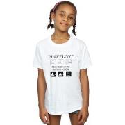 T-shirt enfant Pink Floyd Pyramid Trio