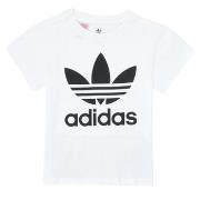 T-shirt enfant adidas TREFOIL TEE