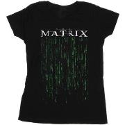 T-shirt The Matrix BI34148