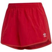 Short adidas GN2886