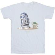 T-shirt Disney The Mandalorian R2D2 And Grogu