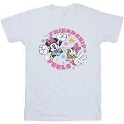 T-shirt Disney Friendship