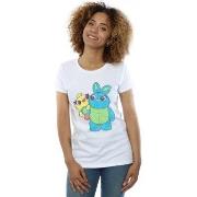 T-shirt Disney Toy Story 4 Ducky And Bunny Distressed Pose