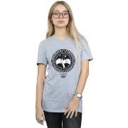 T-shirt Dessins Animés Sylvester Greek Circle