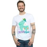 T-shirt Disney Soul Soulmates