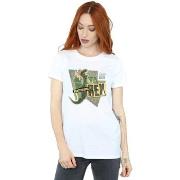 T-shirt Disney Toy Story Partysaurus Rex