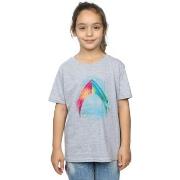 T-shirt enfant Dc Comics BI7158