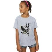 T-shirt enfant Dc Comics BI9188