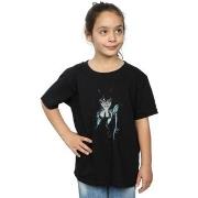 T-shirt enfant Dc Comics Batman Alex Ross Catwoman