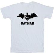 T-shirt enfant Dc Comics BI9829