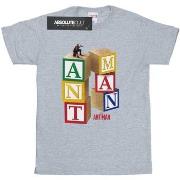T-shirt enfant Marvel Ant-Man Blocks