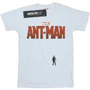 T-shirt enfant Marvel Ant-Man Tiny