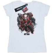 T-shirt Marvel BI7604