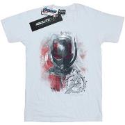 T-shirt Marvel Avengers Endgame Ant-Man Brushed