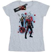 T-shirt Marvel Ant-Man And The Wasp Particle Pose