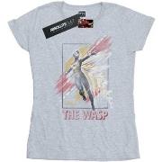 T-shirt Marvel BI7706