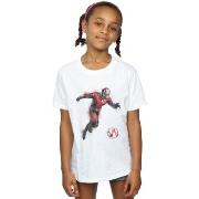 T-shirt enfant Marvel Avengers Endgame Painted Ant-Man