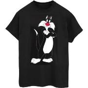 T-shirt Dessins Animés BI51871