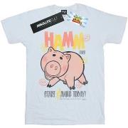 T-shirt Disney Toy Story 4 Hamm The Piggy Bank