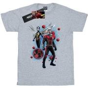 T-shirt Marvel BI9687