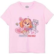T-shirt enfant Paw Patrol Pawsitive Vibes Only