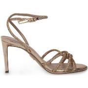 Sandales Steve Madden STEVE ROSE MADDEN KAILYN