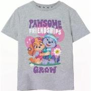 T-shirt enfant Paw Patrol Pawsome Friendships