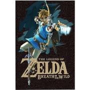 Affiches, posters The Legend Of Zelda TA434