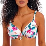 Maillots de bain Freya Palm Paradise