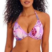 Maillots de bain Freya Miami Sunset