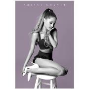 Affiches, posters Ariana Grande PM8276