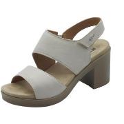 Sandales IgI&amp;CO 5676322 Capra