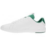 Baskets basses Lacoste CARNABY EVO LIGHT WT 1191