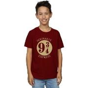 T-shirt enfant Harry Potter BI20271