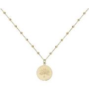 Collier Phebus Collier Femme