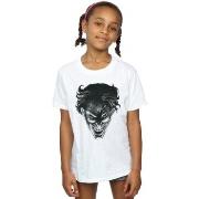 T-shirt enfant Dc Comics BI16235