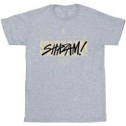 T-shirt Dc Comics Shazam Fury Of The Gods Vandalised Logo