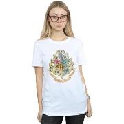 T-shirt Harry Potter BI948