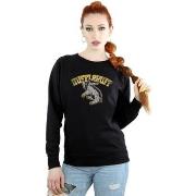 Sweat-shirt Harry Potter Hufflepuff