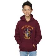 Sweat-shirt enfant Harry Potter Gryffindor Crest
