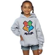 Sweat-shirt enfant Harry Potter BI7966