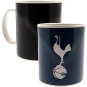 Accessoire sport Tottenham Hotspur Fc TA2679