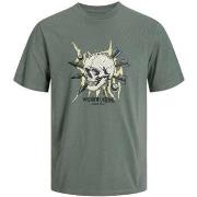 T-shirt Jack &amp; Jones 161464VTPE24