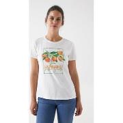 T-shirt Salsa - ORANGES GRAPHIC