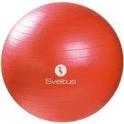 Accessoire sport Sveltus Gymball 65cm